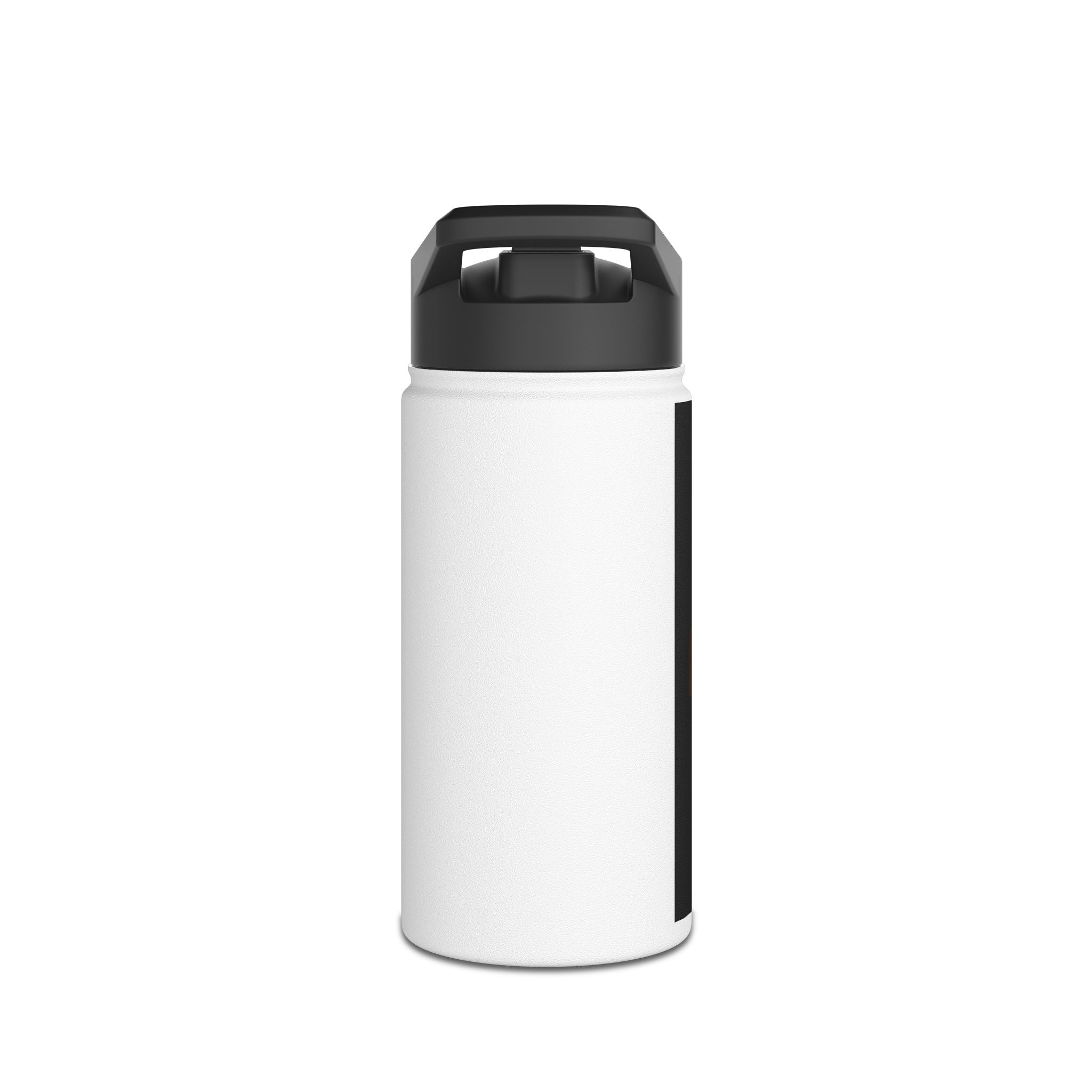 Stainless Steel Water Bottle, Standard Lid